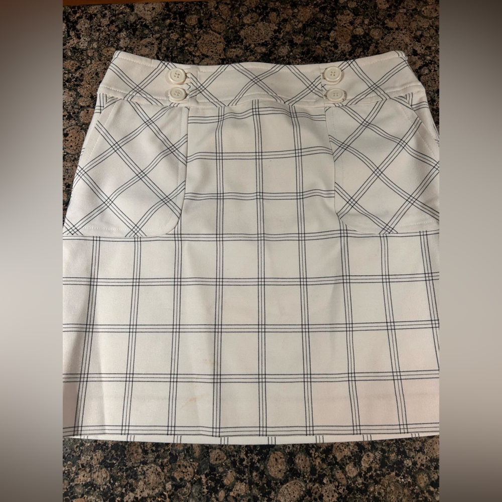 Winter white Ann Taylor Loft lined skirt